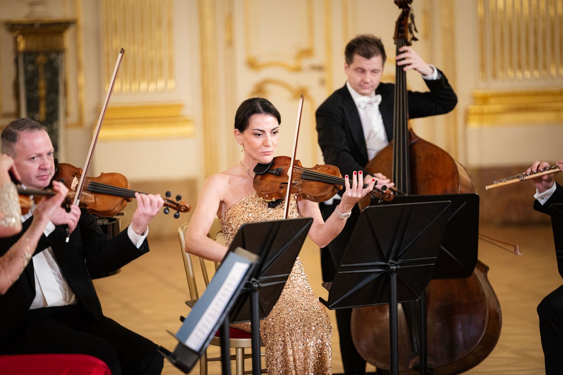 Schönbrunn Palace Ensemble Vienna, violins and double bass